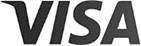 Visa Logo